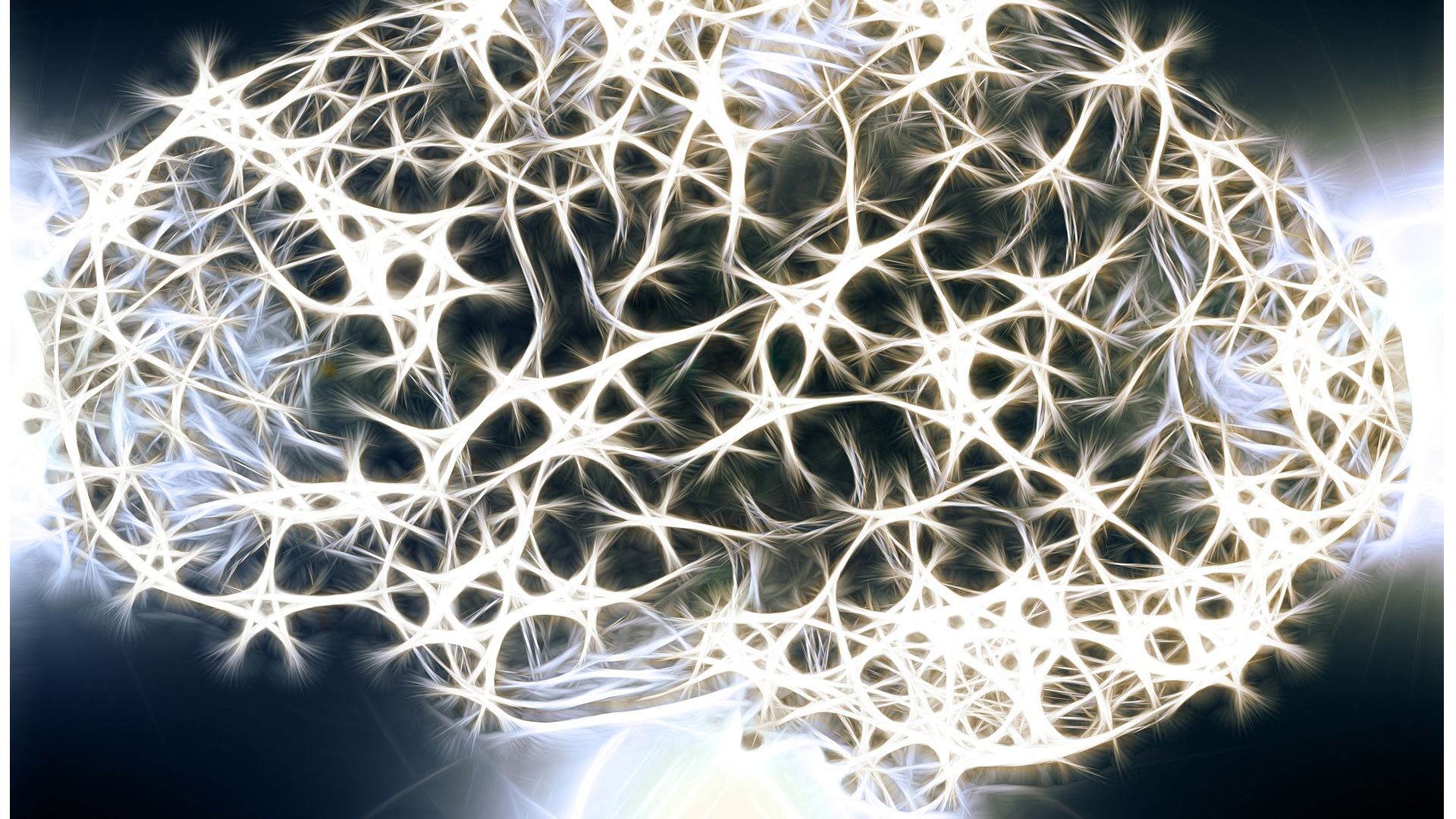 Hasta los 90 años el cerebro produce neuronas 1920