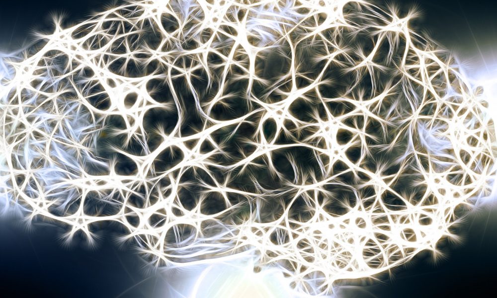 Hasta los 90 años el cerebro produce neuronas 1920