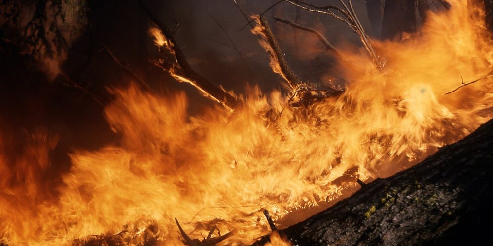 Los propietarios que no cumplan con la normativa forestal pagarán los costes de extinción de incendios