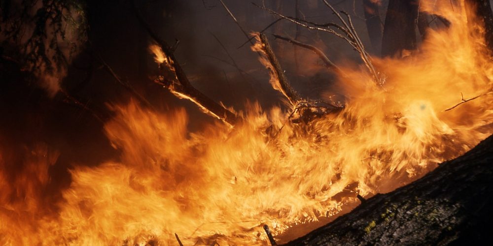 Tragedia forestal en Galicia: más de 200 incendios y más de 15.000 hectáreas quemadas