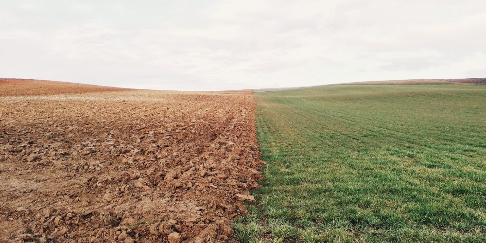 Galicia continúa perdiendo superficie agraria útil
