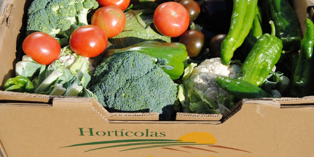 Esta Navidad apuesta por un regalo saludable: cesta de verduras y hortalizas