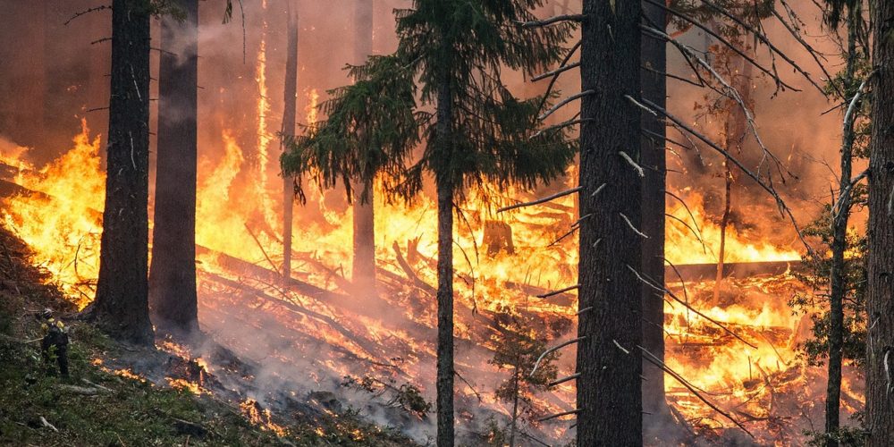 Errores del incendio de Portugal que deben ser estudiados