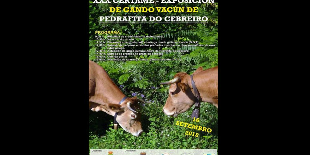 XXX Certame – Exposición de gando vacún de PEDRAFITA DO CEBREIRO