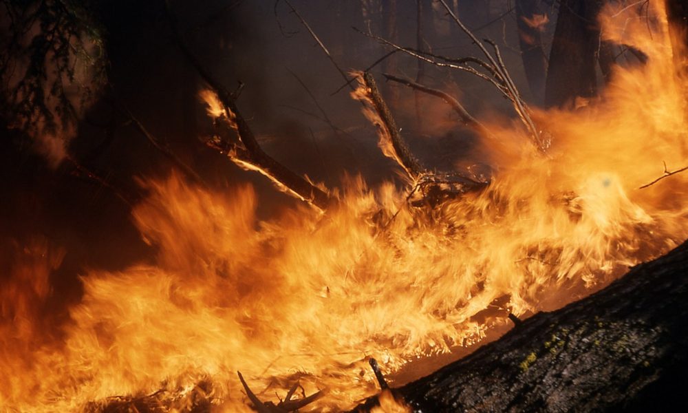 tragedia forestal en galicia: 200 incendios y más de 15000 hectáreas quemadas