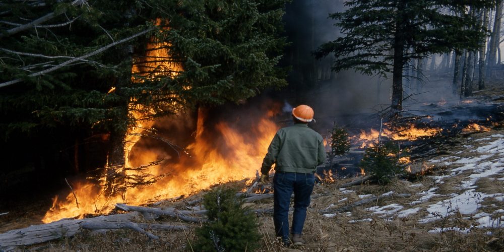 ¿Cuál es la distancia a la que debemos limpiar para prevenir los incendios forestales?