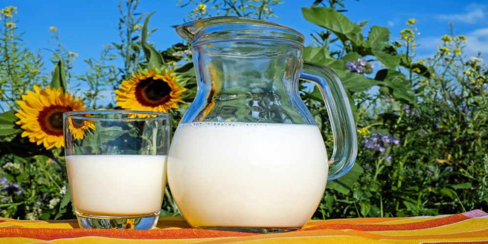 Nueva denuncia por los precios a la baja de la leche en Galicia