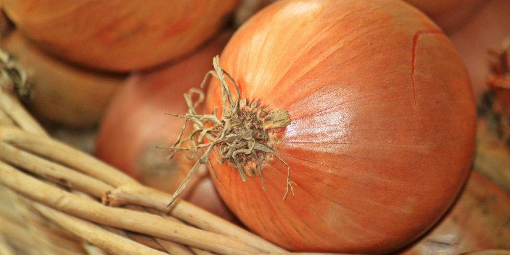 La cebolla: características nutricionales, beneficios y tipos