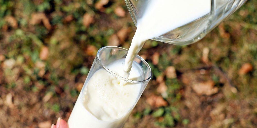 ¿Qué se necesita para asegurar el futuro del sector lácteo gallego?