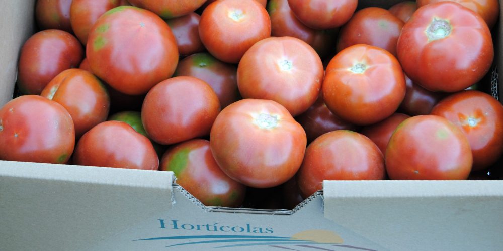 Un solo tomate proporciona el 40% diario de vitamina C