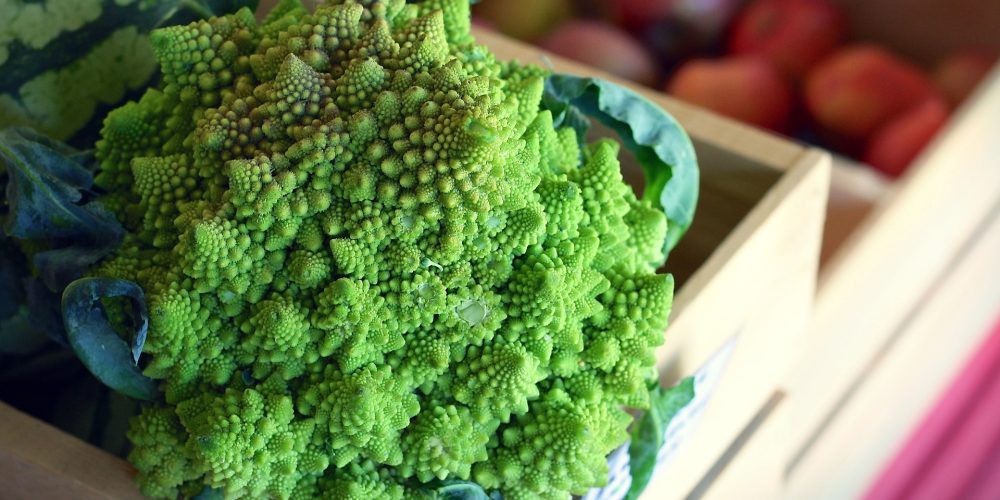 Cinco clases diferentes de brécol BIRISKA