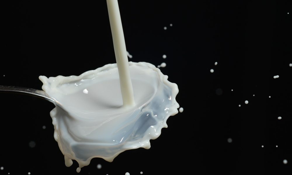 el sector lácteo gallego presenta buenos datos durante la crisis