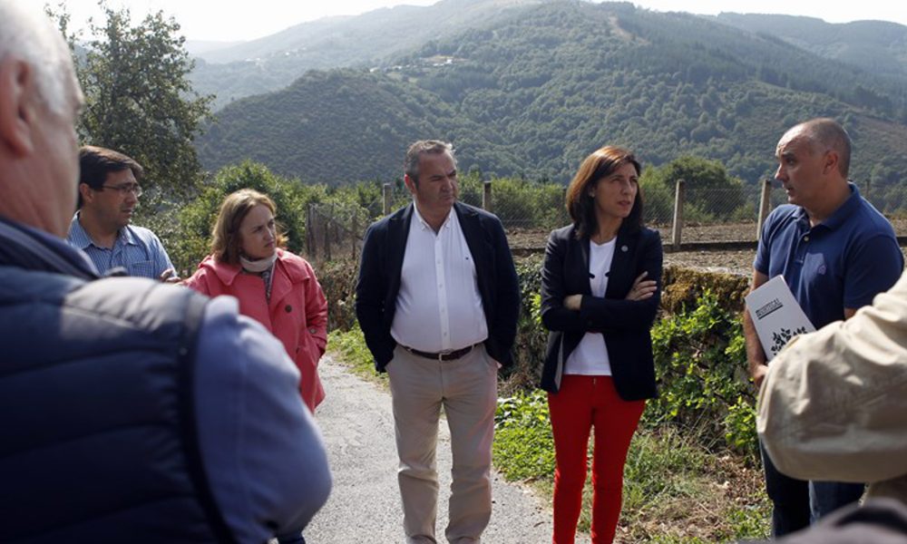 galicia cuenta ya con cinco sociedades de fomento forestal