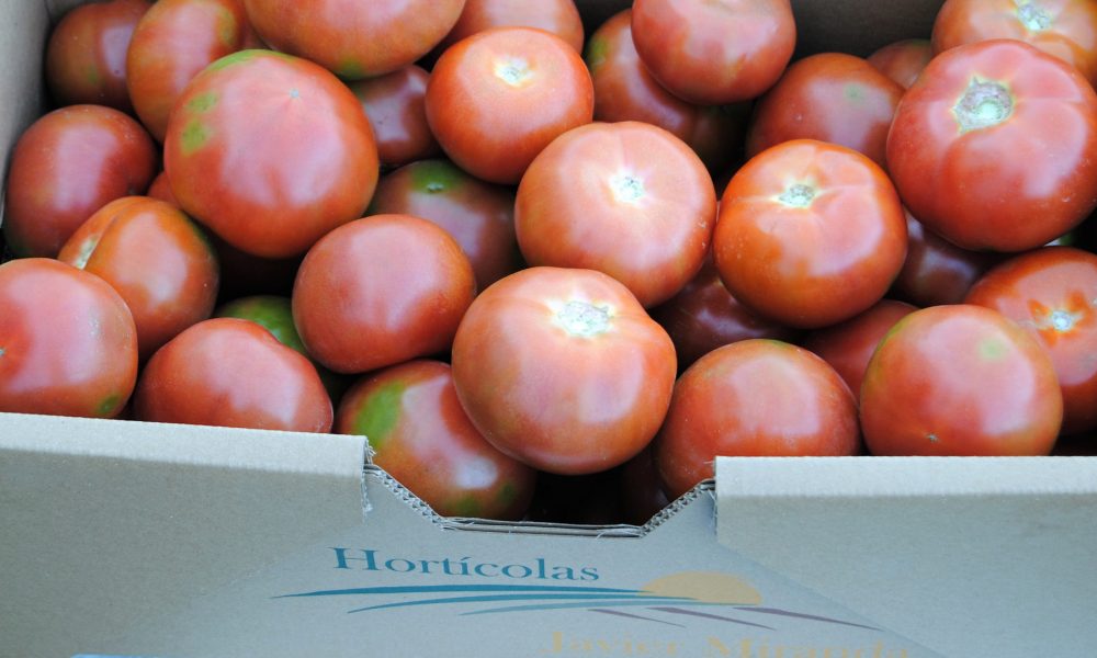 un solo tomate proporciona el 40 diario de vitamina c