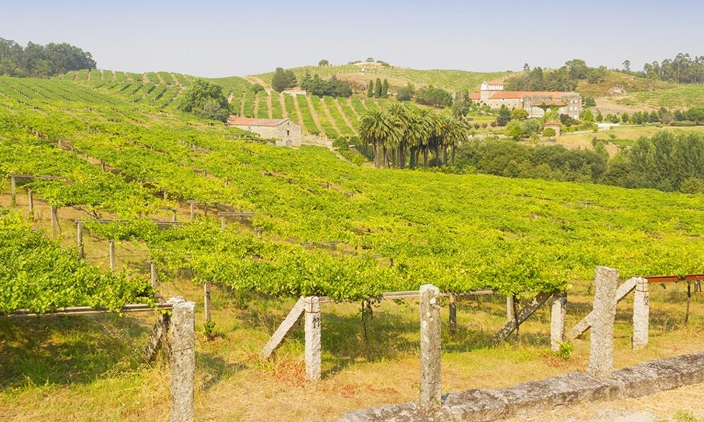 la prestigiosa wine enthusiast magazine incluye a galicia entre las candidatas a región de vino del año