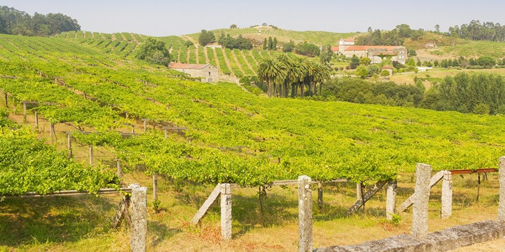 La prestigiosa Wine Enthusiast Magazine incluye a Galicia entre las candidatas a Región de Vino del Año