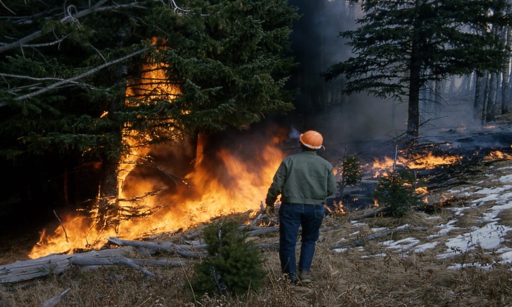 Cuál es la distancia a la que debemos limpiar para prevenir los incendios forestales1920
