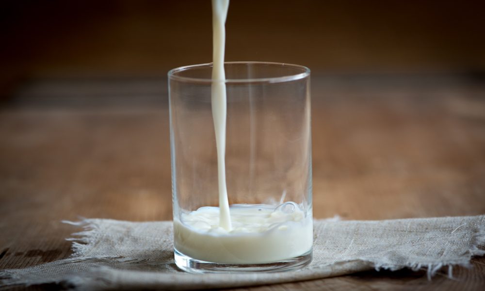 Desarrollan una leche rica en calcio y reducida en lactosa que se prepara en casa1920