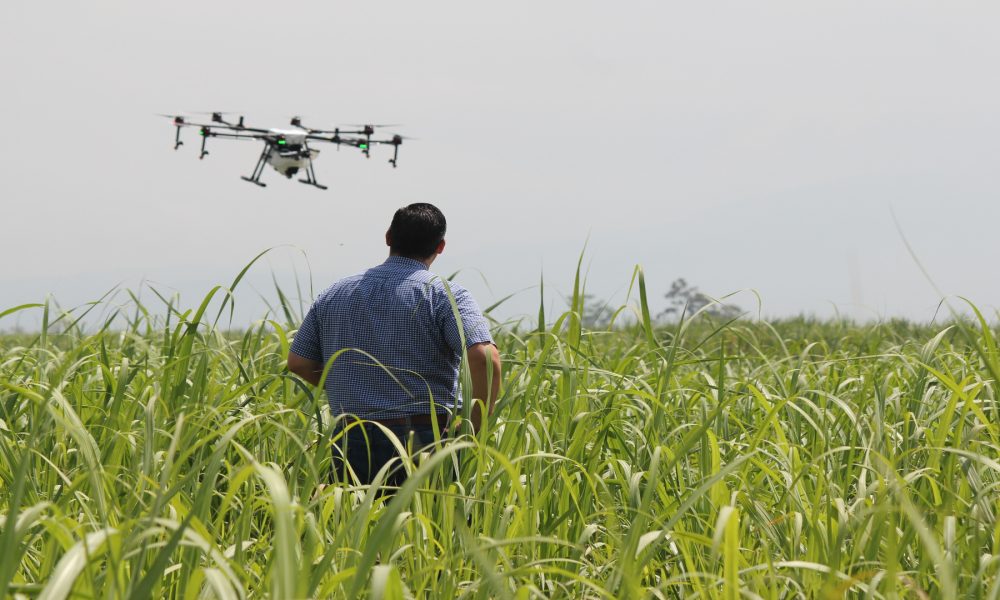 Drones para controlar el ganado y los cultivos.