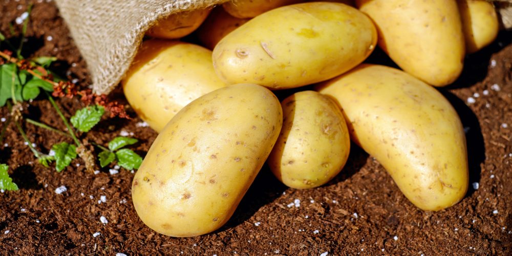 Indemnizaciones por la polilla de la patata y tres plagas vegetales