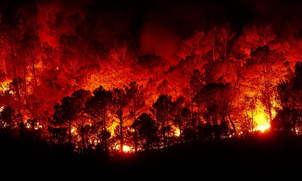 La Xunta cargara costes de extinción de incendios a los propietarios que incumplan la normativa forestal.1920