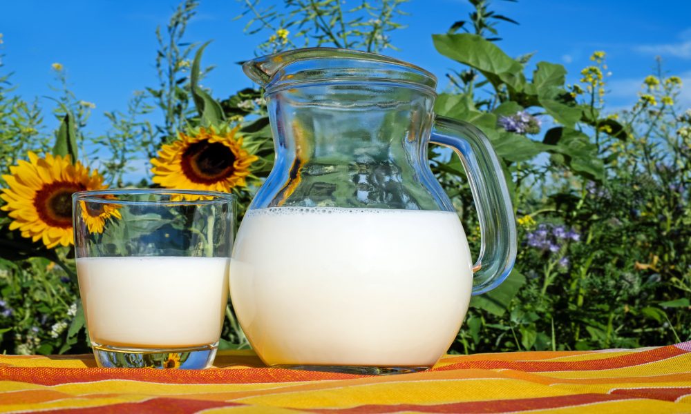 Nueva denuncia por los precios a la baja de la leche en Galicia.