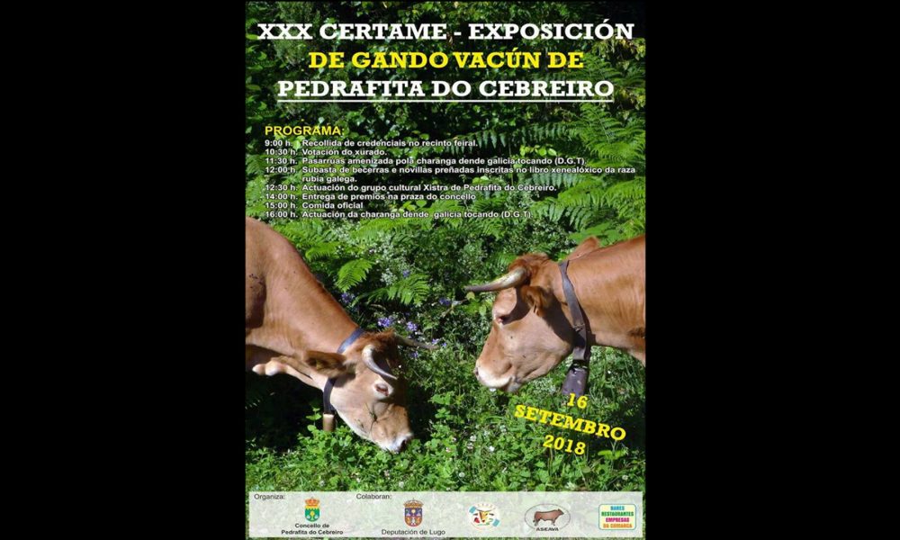 XXX Certame - Exposicion de gando vacun de PEDRAFITA DO CEBREIRO.1920
