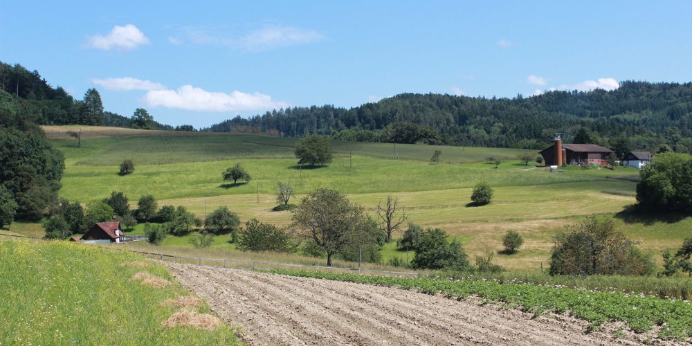 Los principios básicos de la agroecología