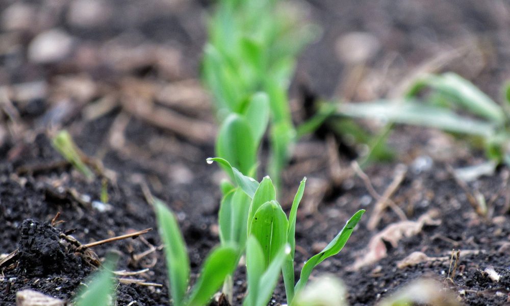 hasta-el-8-de-mayo-para-apuntarse-en-el-programa-emprural-1920