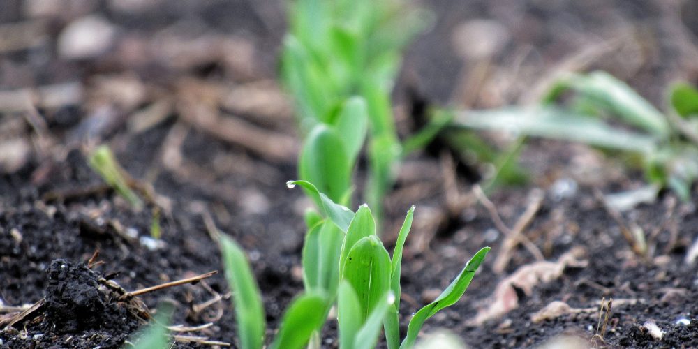 Hasta el 8 de mayo para apuntarse en el proyecto Emprural para el emprendimiento juvenil