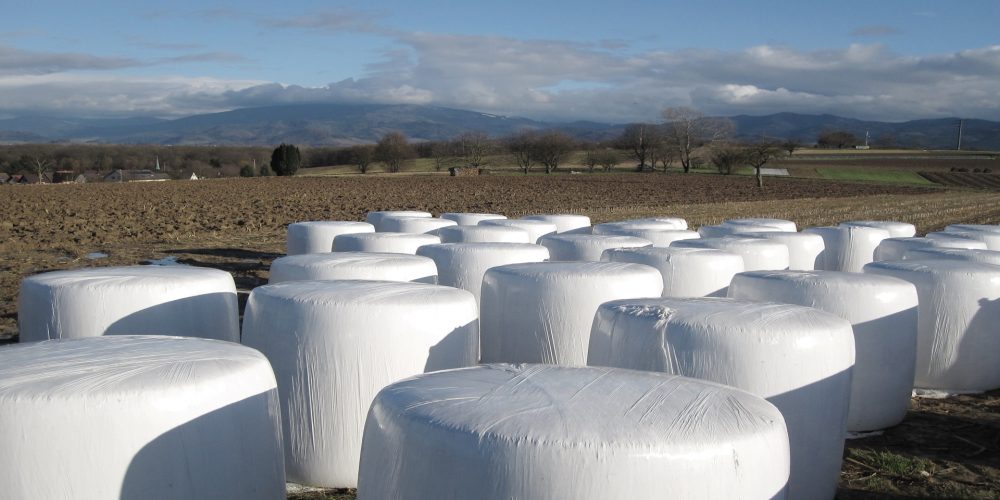 Donadas 35 toneladas de hierba para una ganadería afectada por el fuego