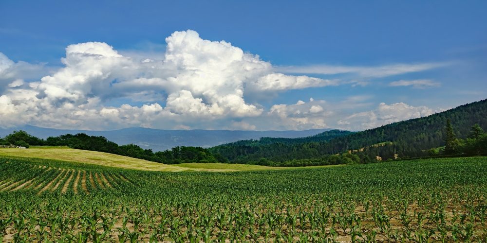 En la segunda quincena de abril se abrirá el Plan Renove