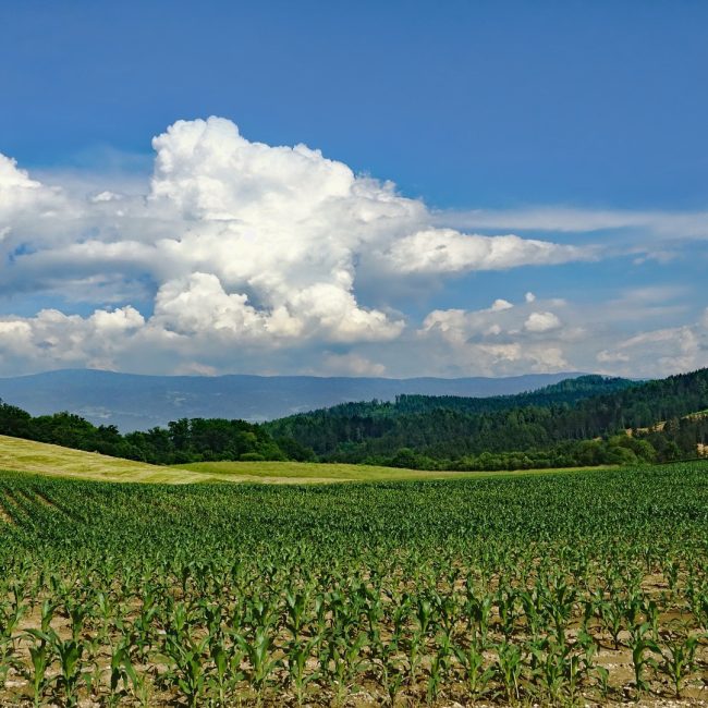 En la segunda quincena de abril se abrirá el Plan Renove