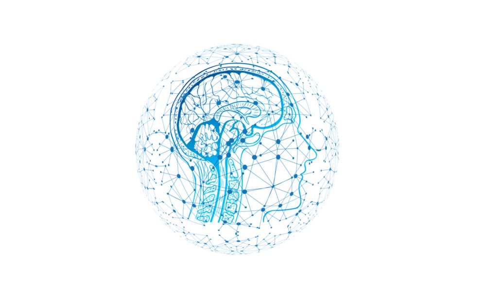 Segun un cientifico el alma entra en el feto a los 49 dias por la glandula pineal.1920
