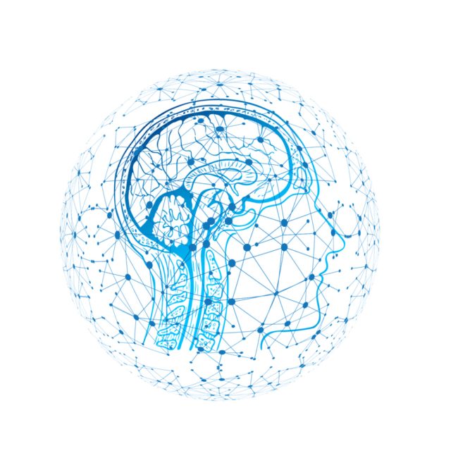 Según un científico el alma entra en el feto a los 49 días por la glándula pineal