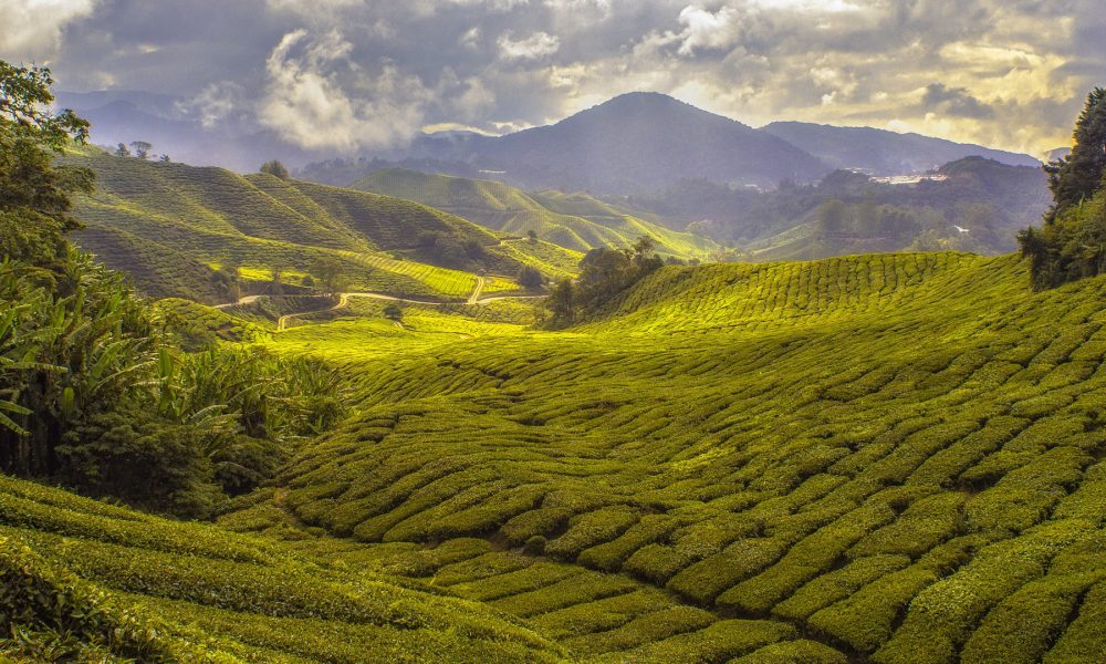 ampliado-el-plazo-7-mayo-para-solicitar-ayudas-pac-1920