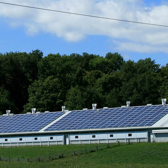 Ayudas para instalar energías renovables en el sector agroganadero