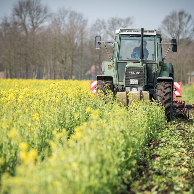 Ayudas para la renovación de maquinaria agrícola