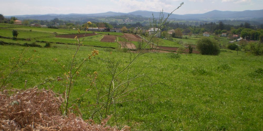 En defensa del rural gallego