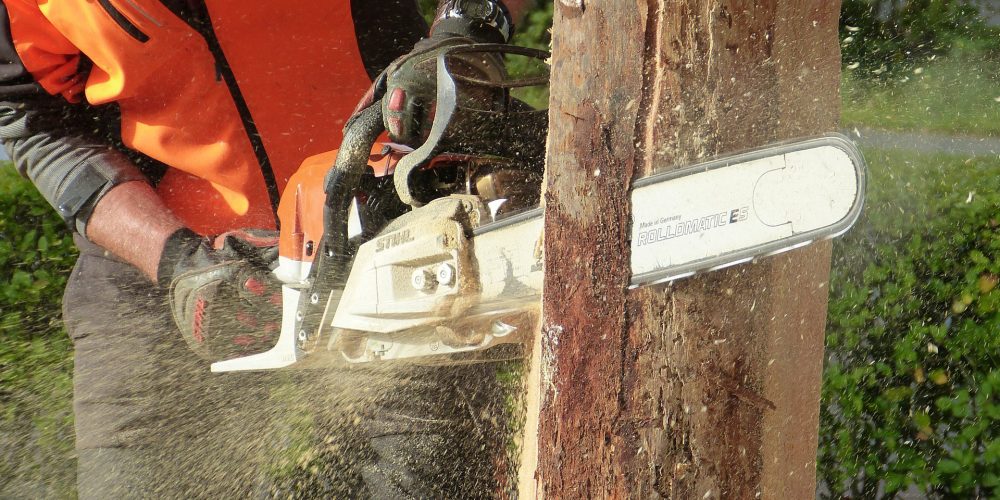 Fearmaga celebra esta semana un curso acerca de la motosierra en Santiago