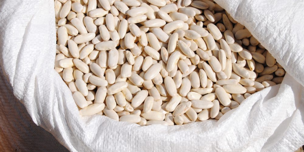 La producción hortícola de Galicia contará con un sello de garantía de calidad