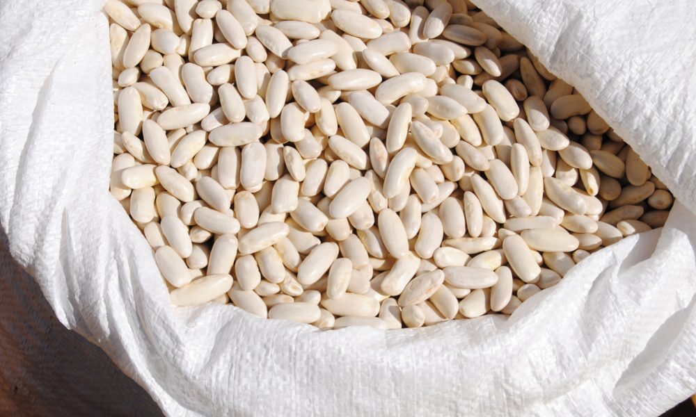 la-produccion-horticola-de-galicia-contara-con-un-sello-de-garantia-de-calidad-1920