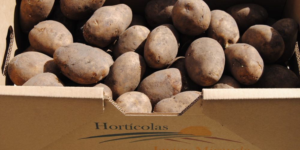 Las principales variedades de patata