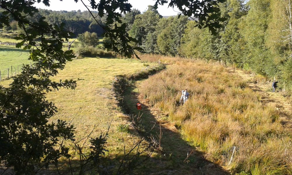 situaciones-en-las-que-es-fundamental-medir-una-finca-1920
