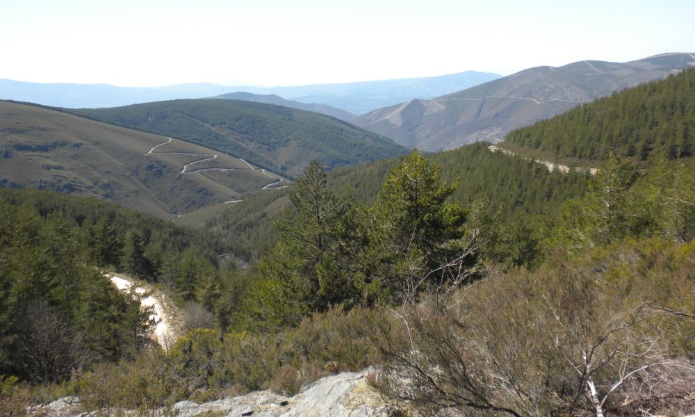 27-patrullas-de-las-fuerzas-armadas-vigilan-el-monte-gallego-1920