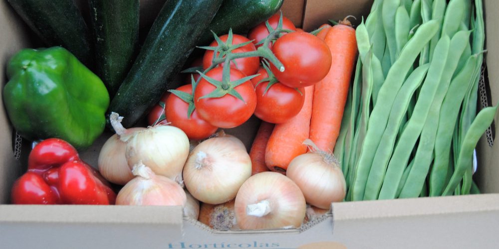 8 cestas de temporada diferentes para facilitar tu compra