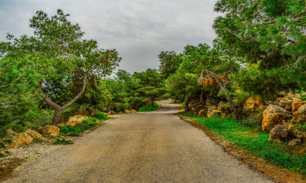 Ayudas a los concellos rurales gallegos para contratar desempleados.1920
