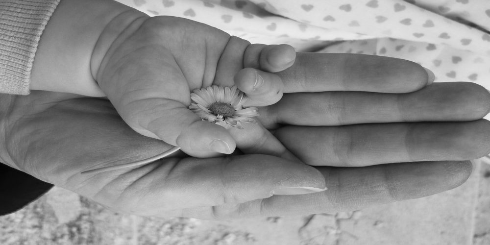 El corazón inservible con el que nació IRENE y que el Dr Cabo resucitó