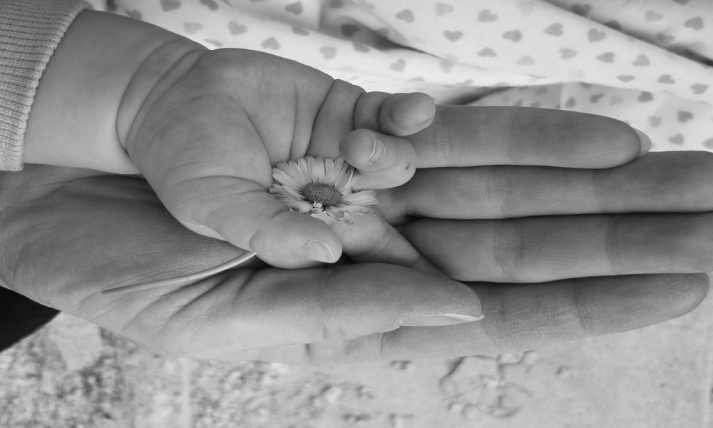 El corazon inservible con el que nacio IRENE y que el Dr Cabo resucito.1920