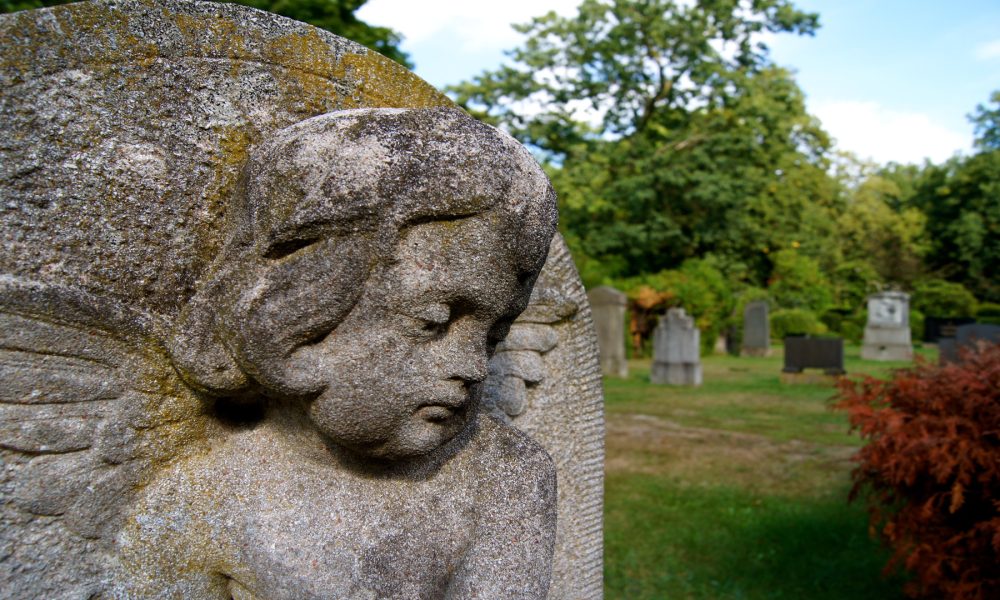 En Brooklyn tienen sidra de edición limitada que proviene de sus tumbas.1920